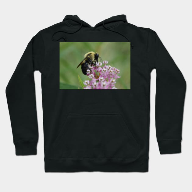 Carpenter bee Hoodie by ToniaDelozier